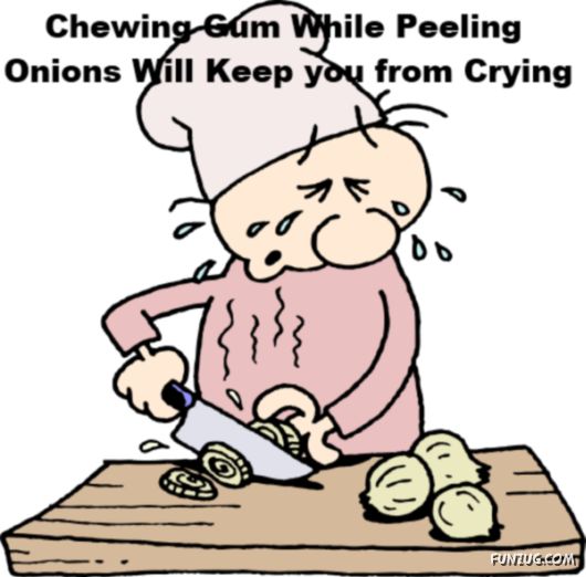 25 Interesting Facts You Never Knew