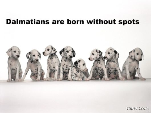 25 Interesting Facts You Never Knew