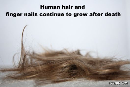 25 Interesting Facts You Never Knew