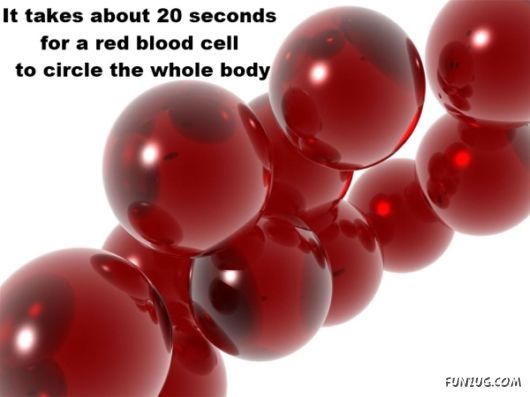 25 Interesting Facts You Never Knew
