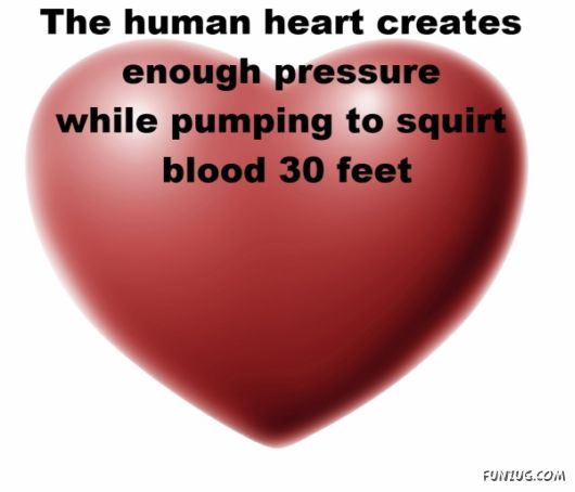 25 Interesting Facts You Never Knew