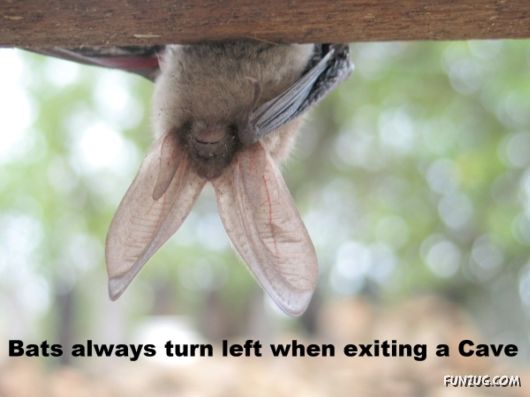 25 Interesting Facts You Never Knew