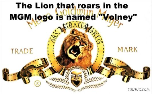 25 Interesting Facts You Never Knew