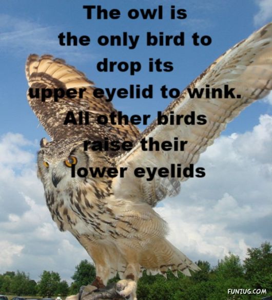 25 Interesting Facts You Never Knew