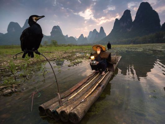 Best National Geographic Photos Of 2015