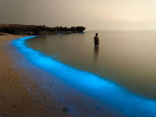 Best National Geographic Photos Of 2015