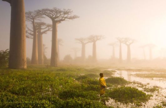 Best National Geographic Photos Of 2015