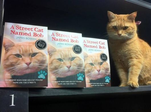 Red Cat Bob And James Bowen (Story)