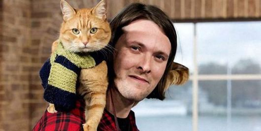 Red Cat Bob And James Bowen (Story)