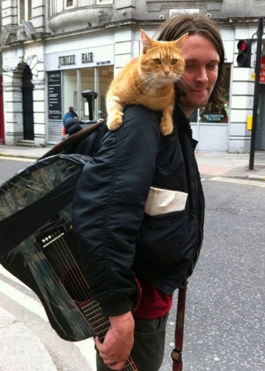 Red Cat Bob And James Bowen (Story)