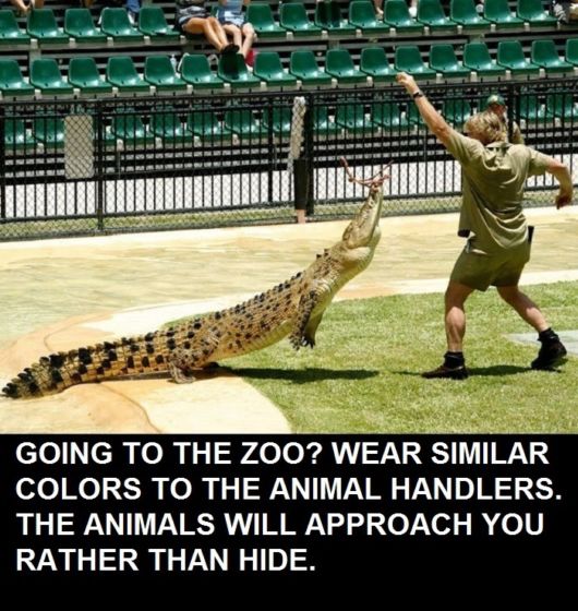 23 Simple Life Tips Worth Knowing