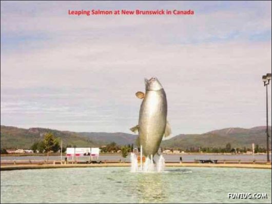 Curious Places Of The World