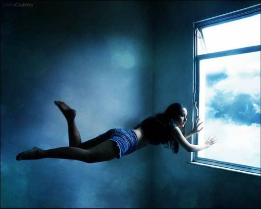 The Magic of Fly Photography