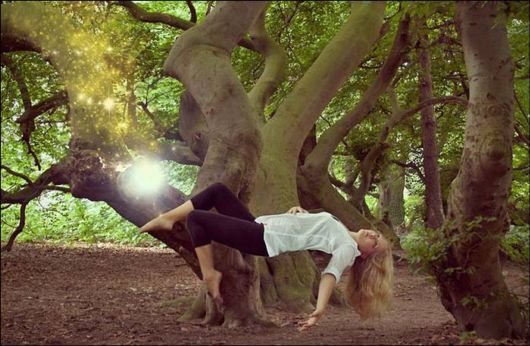 The Magic of Fly Photography