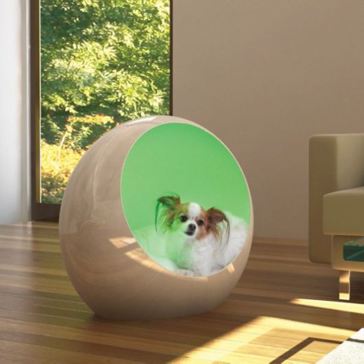 Products You Need to Complete Your Life