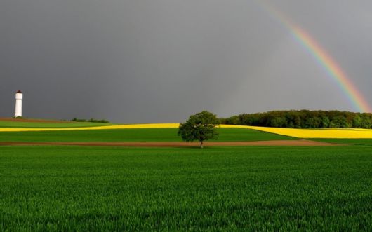 Click to Enlarge - Beautiful Rainbow Wallpapers