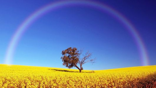 Click to Enlarge - Beautiful Rainbow Wallpapers