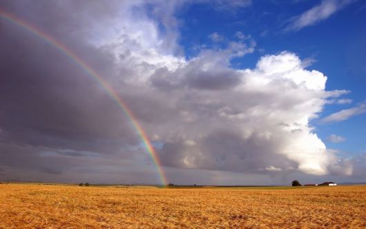 Click to Enlarge - Beautiful Rainbow Wallpapers