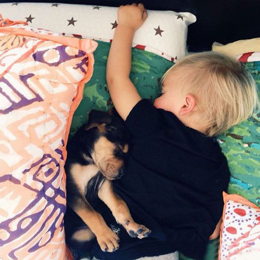 Toddler Takes Daily Naps With 2-Month-Old Puppy