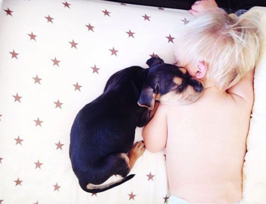 Toddler Takes Daily Naps With 2-Month-Old Puppy