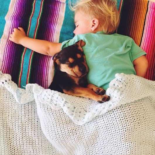 Toddler Takes Daily Naps With 2-Month-Old Puppy