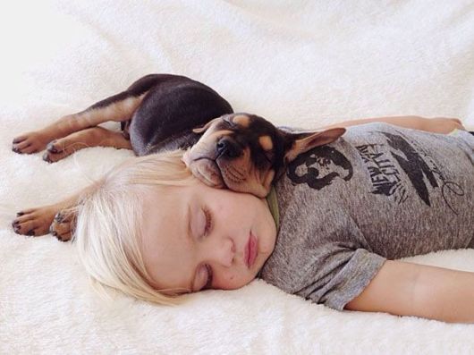 Toddler Takes Daily Naps With 2-Month-Old Puppy