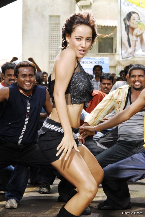 Neha Sharma's Awesome Photo Gallery