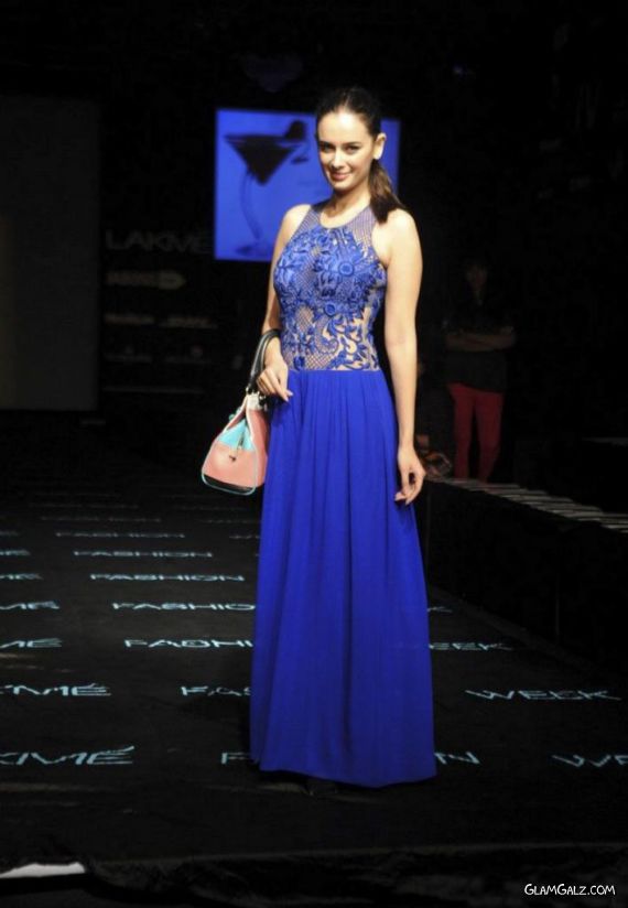 Celebs At Grand Finale Of LFW Winter-Festive 2014 