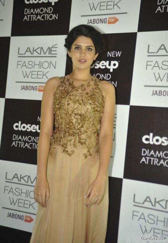 Celebs At Grand Finale Of LFW Winter-Festive 2014 