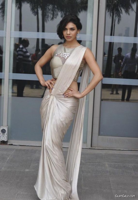 Celebs At Grand Finale Of LFW Winter-Festive 2014 