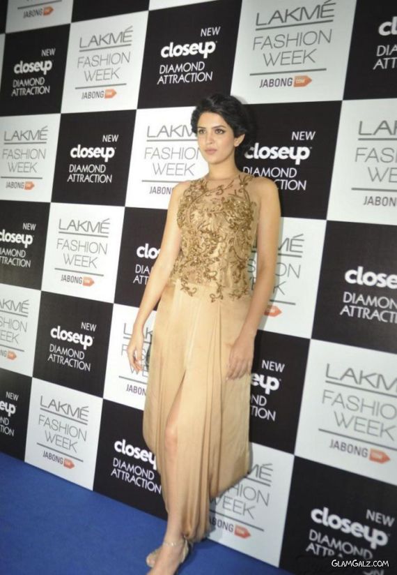 Celebs At Grand Finale Of LFW Winter-Festive 2014 