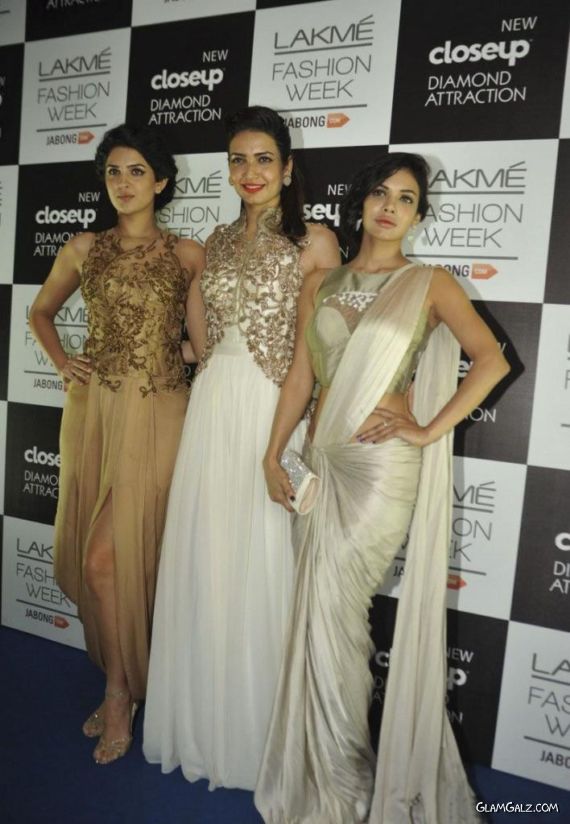 Celebs At Grand Finale Of LFW Winter-Festive 2014 